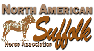 American Suffolk Horse Association
